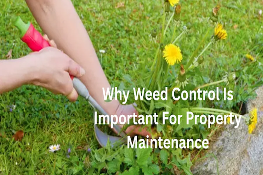 Why Weed Control Is Important For Property Maintenance