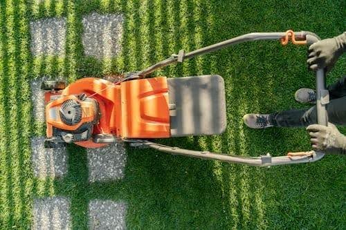 Why Weed Control Is Important For Property Maintenance