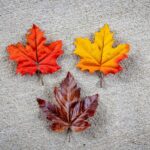 Three Types of Outsourcing That Could Benefit Your Business and Your Customers
